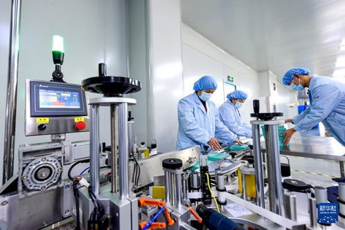 網絡技術驅動河北邱縣食品企業生產忙